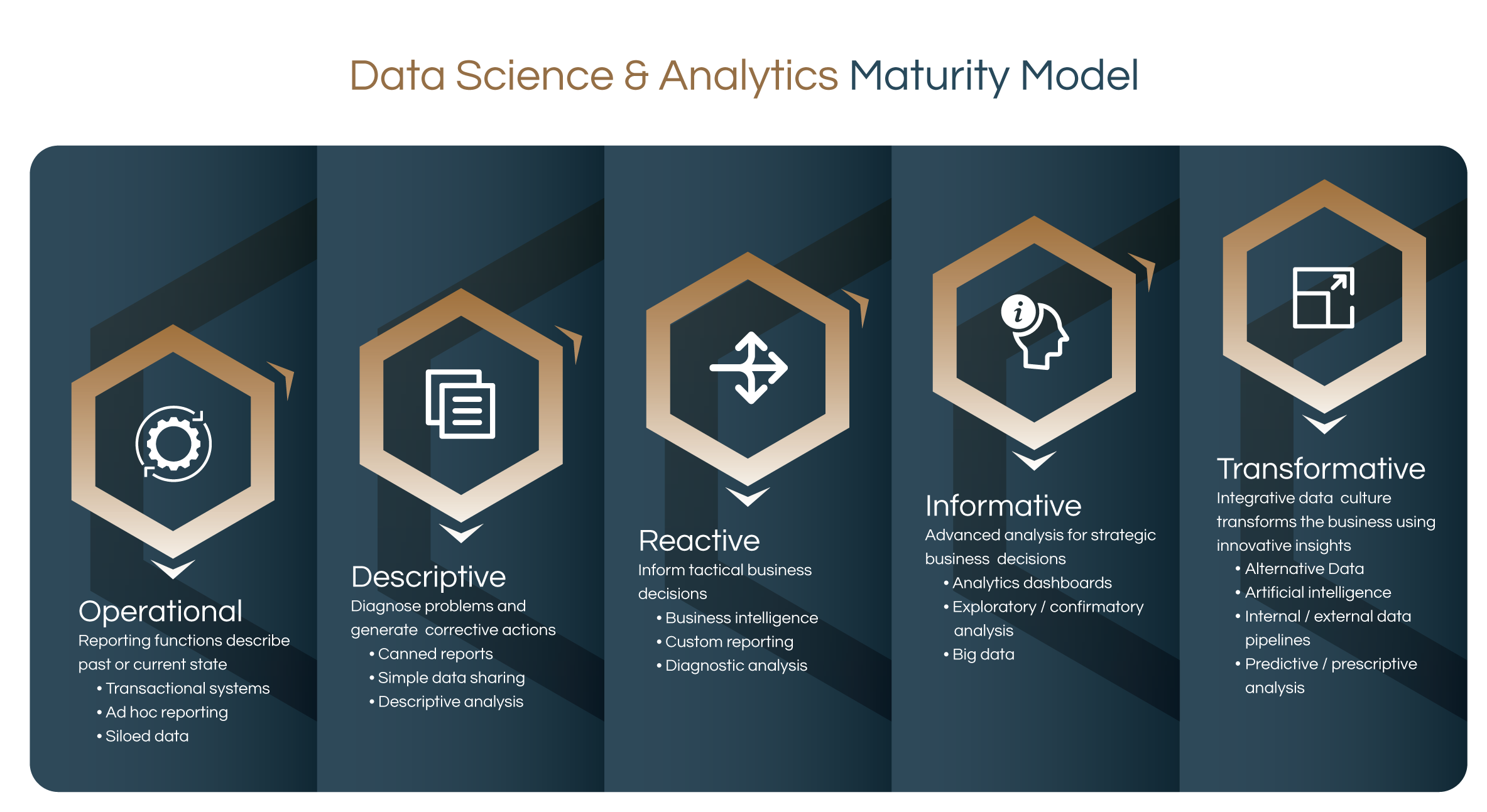 Cognitell data science and analytics maturity model