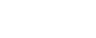 Microsoft silver partner white logo